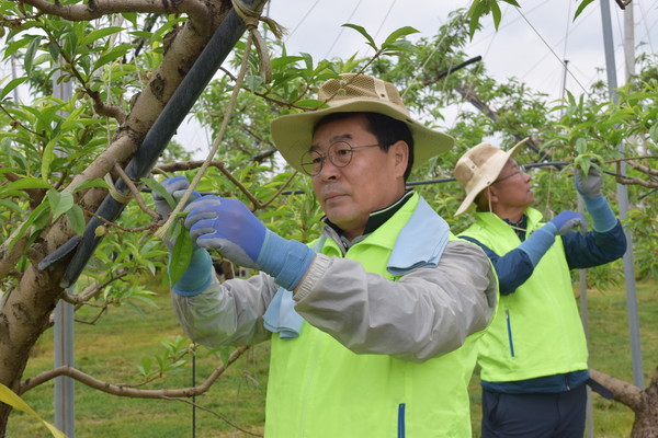 사진제공=NH농협은행