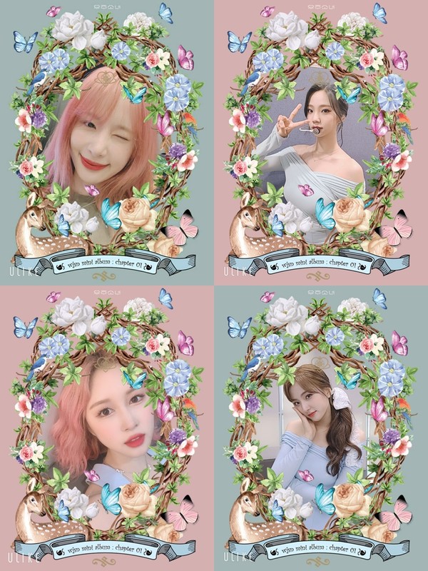 [사진 = 스타쉽엔터테인먼트 제공]