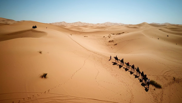 [사진 = KBS 제공]