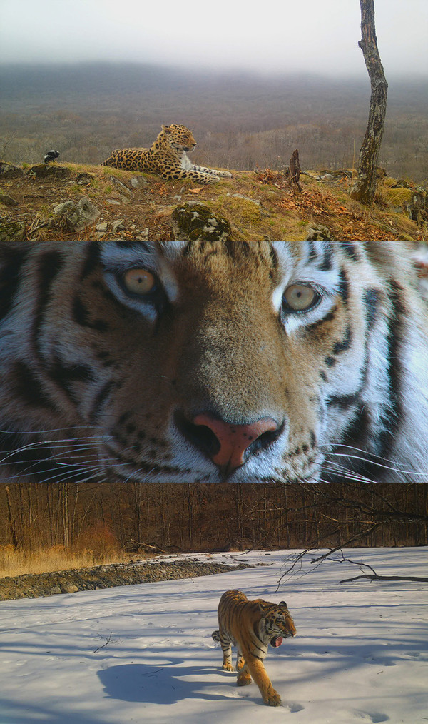 [사진 = EBS 제공]