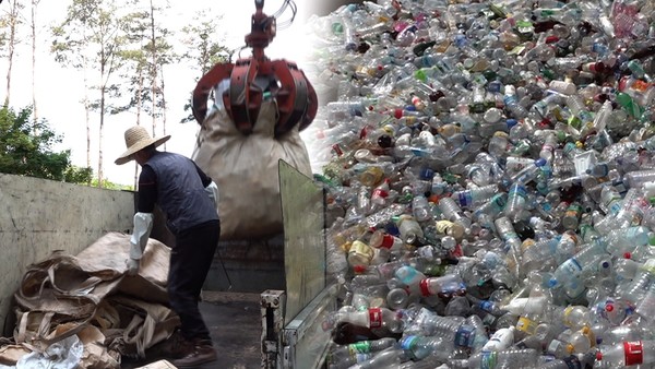 [사진 = SBS 제공]