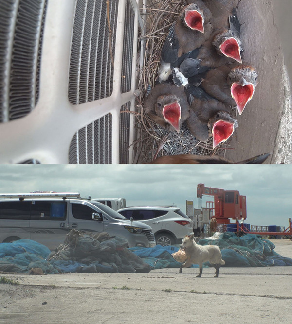 [사진 = SBS 제공]