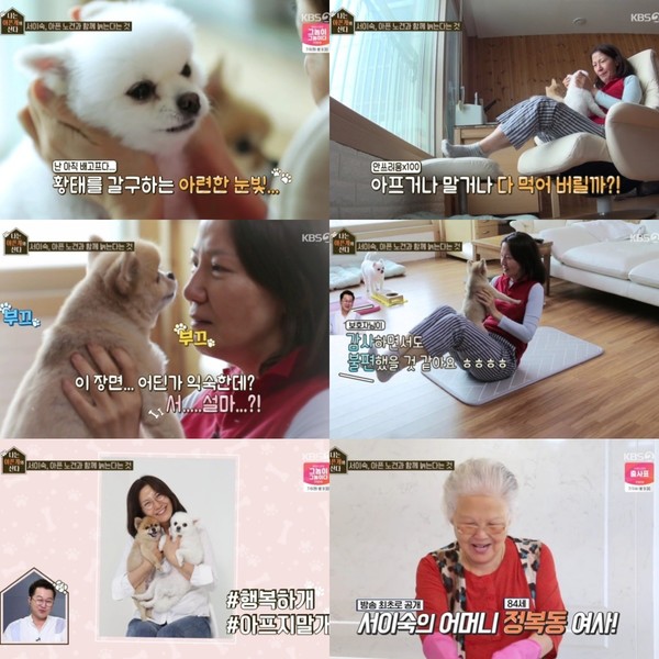 [사진 = KBS2 ‘나는 아픈 개와 산다’ 방송화면]