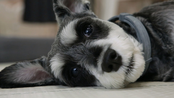 [사진= EBS 제공]