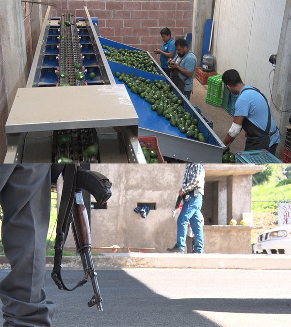 [사진 = KBS 제공]