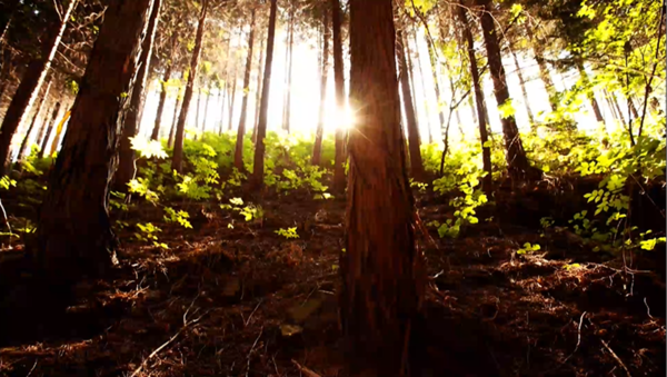 [사진 = KBS 제공]