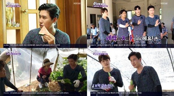 [사진 = KBS1 ‘6시 내고향’ 방송화면]