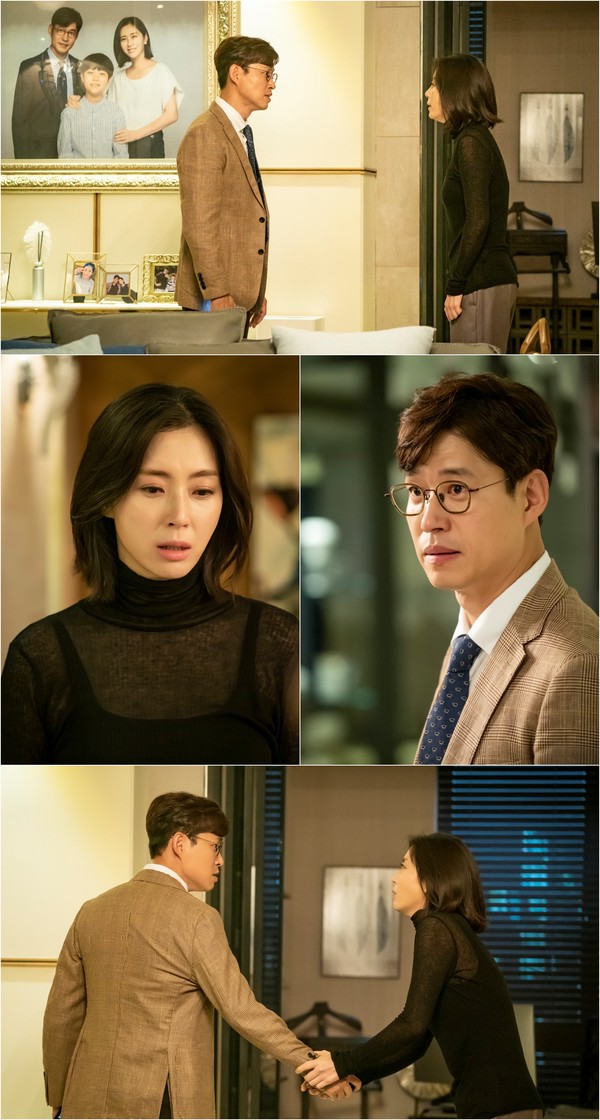 [사진 = 스튜디오앤뉴·제이씨앤 제공]