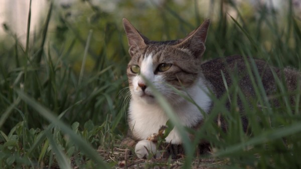 [사진 = EBS 제공]