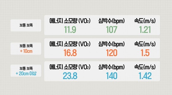 [사진 = KBS 제공]