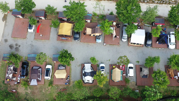 [사진 = EBS 제공]