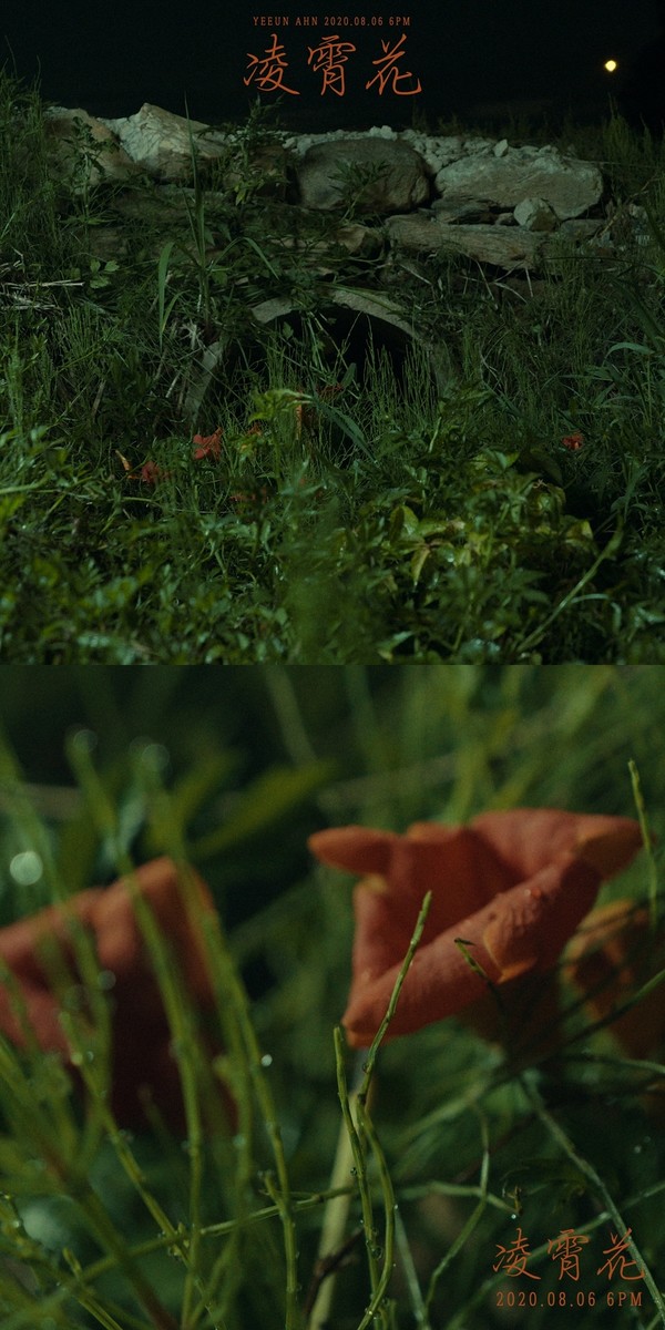 [사진 = 더블엑스엔터테인먼트 제공]