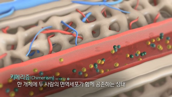 [사진 = KBS 제공]