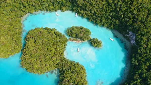 [사진 = KBS 제공]