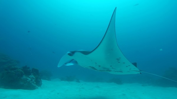 [사진 = KBS 제공]