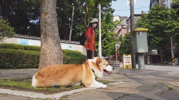 [사진 = SBS 제공]