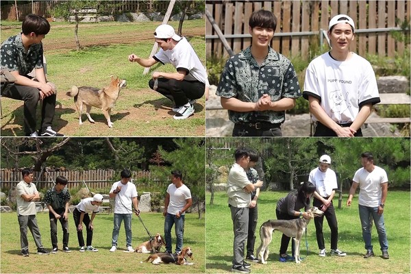 [사진 = KBS 제공]