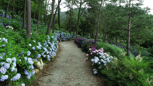 [사진 = KBS 제공]