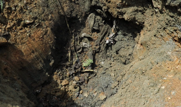 [사진 = KBS 제공]