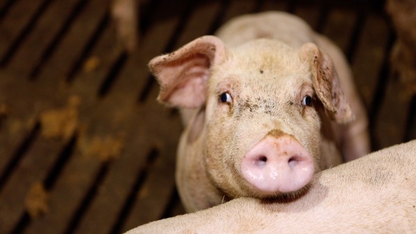 [사진 = KBS 제공]