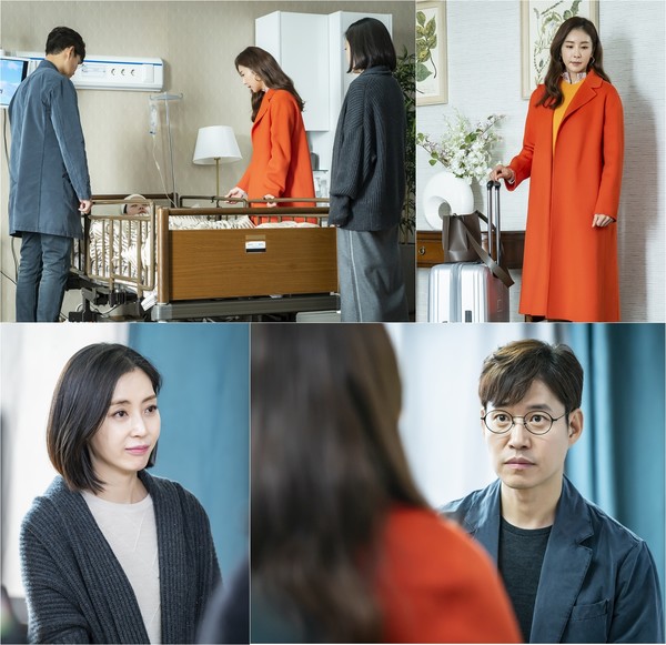 [사진 = 스튜디오앤뉴·제이씨앤 제공]