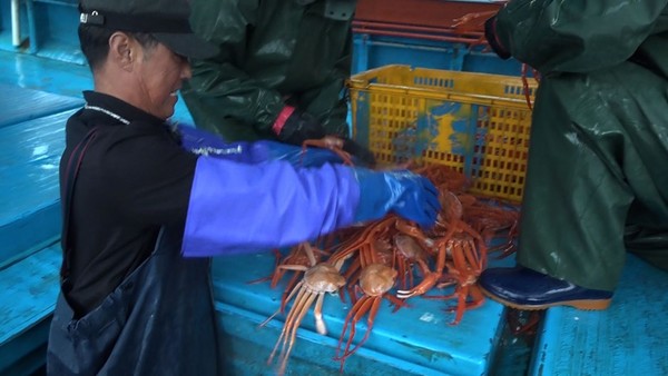 [사진 = KBS 제공]