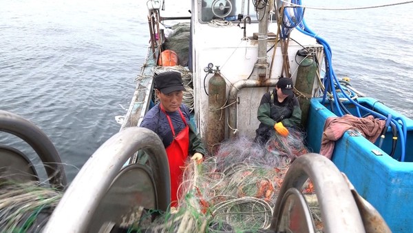 [사진 = KBS 제공]