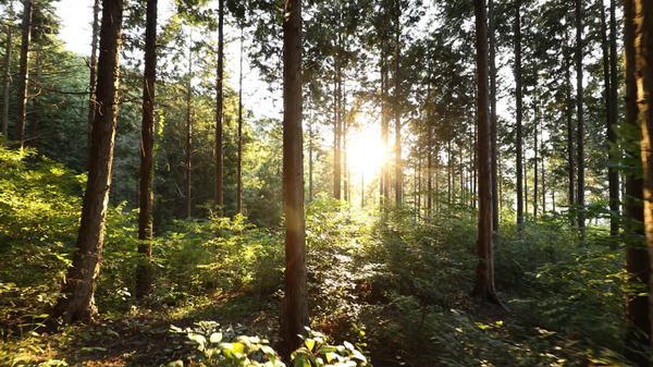 [사진 = KBS 제공]