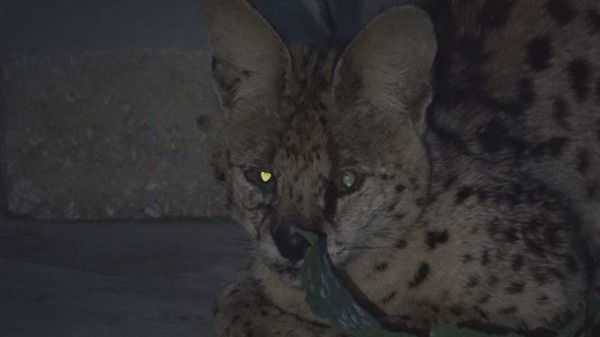 [사진 = SBS 제공]