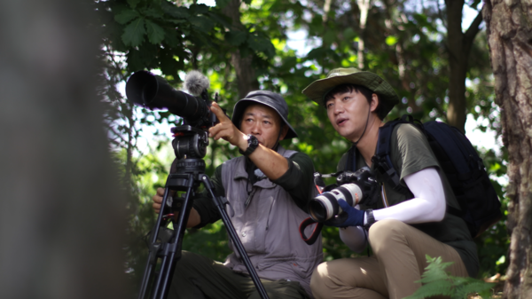 [사진 = 백로·왜가리의 육아현장을 유튜브 생중계하고 있는 김승수/ KBS 제공]
