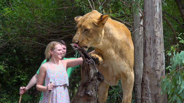 [사진 = KBS 제공]