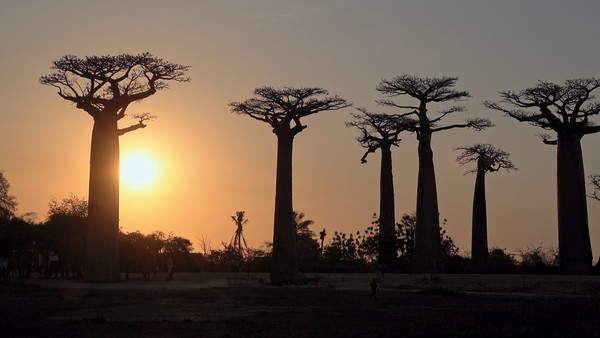 [사진 = KBS 제공]