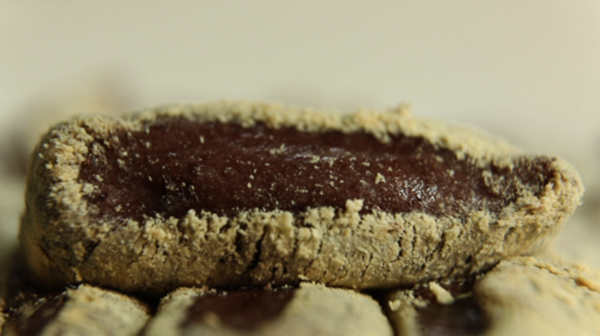 [사진 = KBS 제공]