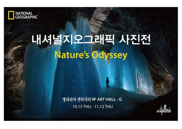 이미지제공=갤러리아