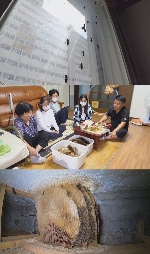 [사진 = SBS 제공]