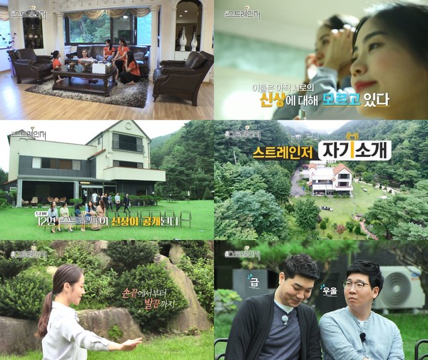 [사진 = 디스커버리 채널 코리아, NQQ(엔큐큐) 제공]