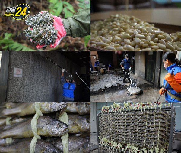 [사진 = 채널A 제공]