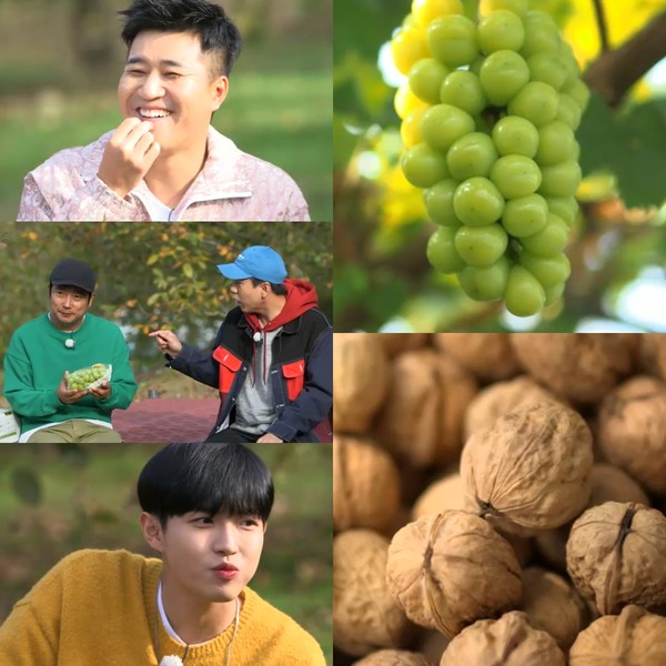 [사진 = KBS 2TV '랜선장터-보는날이 장날' 제공]