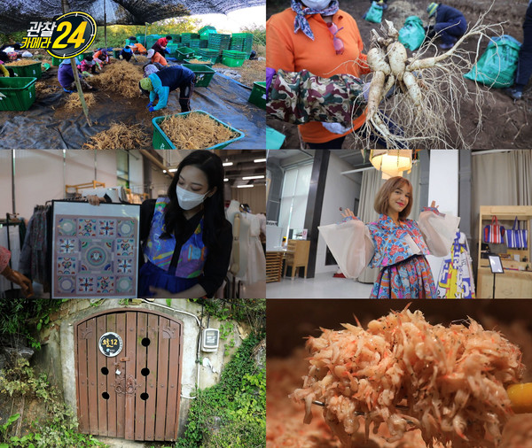 [사진 = 채널A 제공]