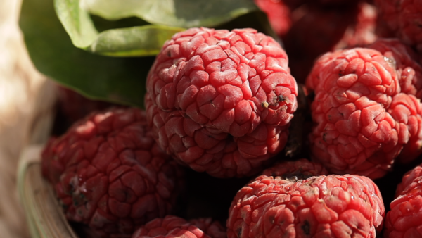 [사진 = KBS 제공]