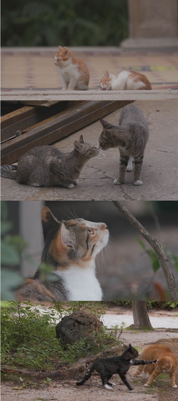 [사진 = SBS 제공]