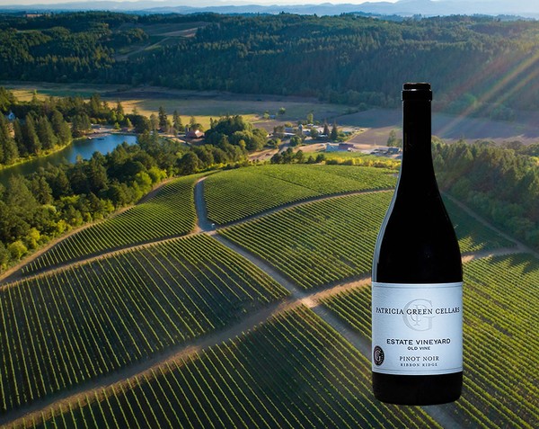 사진제공=하이트진로