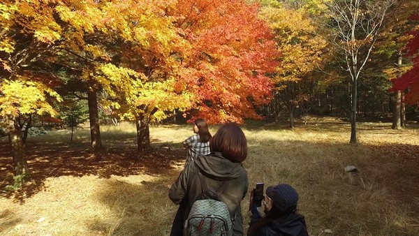 [사진 = KBS 제공]