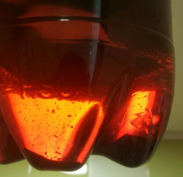 맥주 혼탁 침전물 사진. 사진 제공=식품의약품안전처